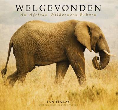 Book cover for Welgevonden