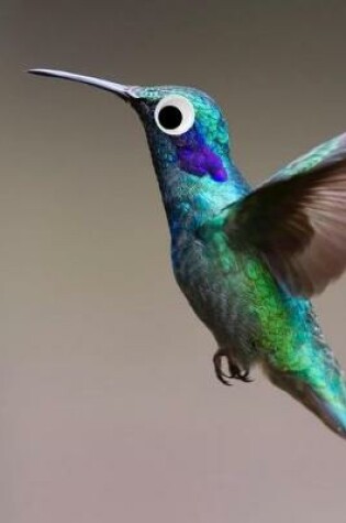 Cover of Googly Eye Hummingbird Journal
