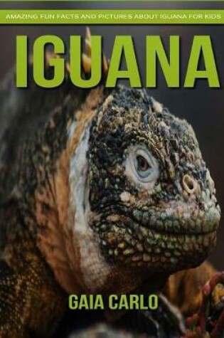 Cover of Iguana