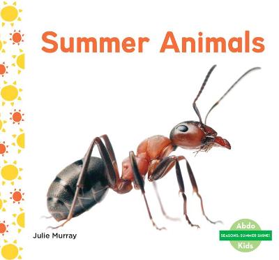 Book cover for Summer Animals