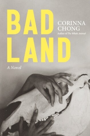 Cover of Bad Land