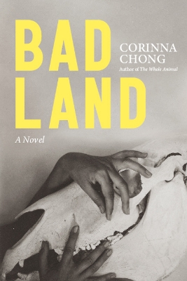 Book cover for Bad Land