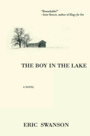Cover of The Boy in the Lake