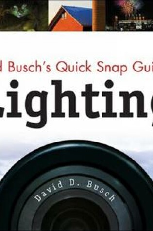 Cover of David Busch's Quick Snap Guide To Lighting