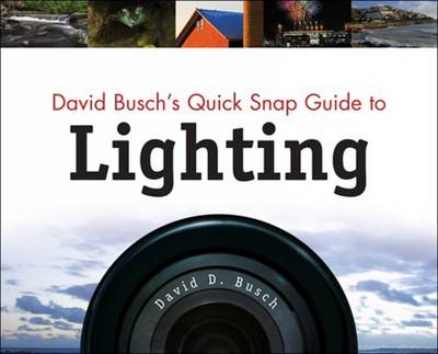 Book cover for David Busch's Quick Snap Guide To Lighting