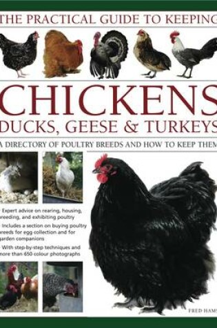 Cover of Practical Guide to Keeping Chickens, Duck, Geese & Turkeys