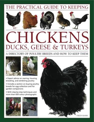 Book cover for Practical Guide to Keeping Chickens, Duck, Geese & Turkeys