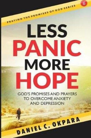 Cover of Less Panic, More Hope