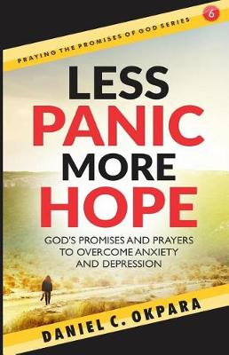 Book cover for Less Panic, More Hope