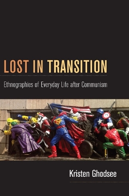 Book cover for Lost in Transition
