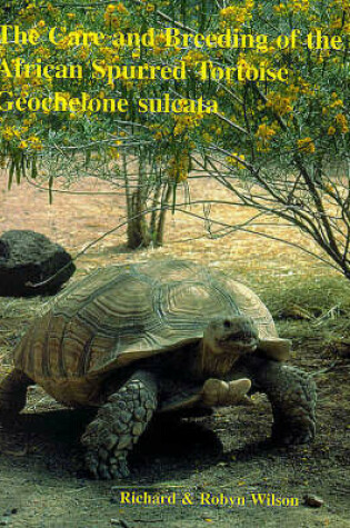 Cover of The Care and Breeding of the African Spurred Tortoise Geochelone Sulcata