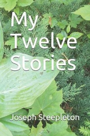 Cover of My Twelve Stories