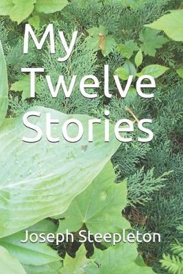 Book cover for My Twelve Stories