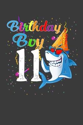 Book cover for Birthday Boy 11