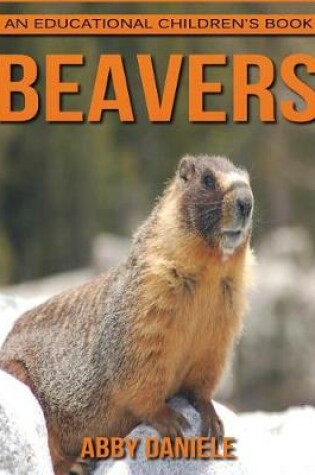 Cover of Beavers! An Educational Children's Book about Beavers with Fun Facts & Photos