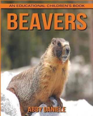 Book cover for Beavers! An Educational Children's Book about Beavers with Fun Facts & Photos