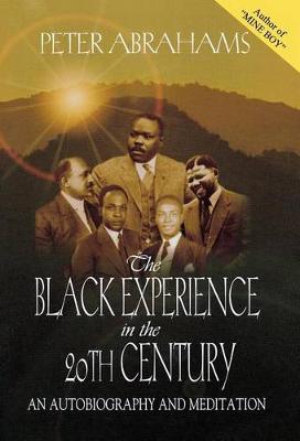 Book cover for Black Experience in the 20th Century