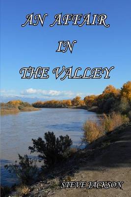 Book cover for An Affair In The Valley