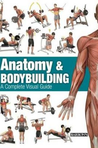 Cover of Anatomy & Bodybuilding