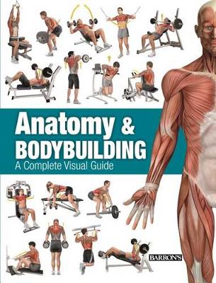 Book cover for Anatomy & Bodybuilding
