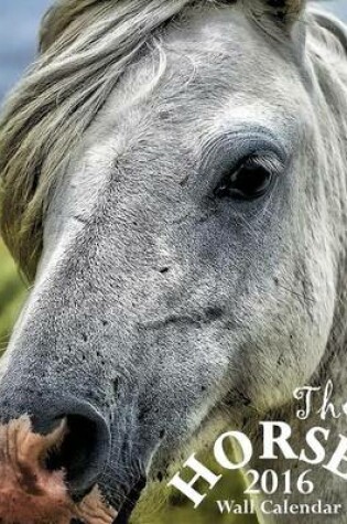 Cover of The Horse 2016 Wall Calendar