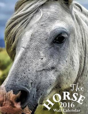 Book cover for The Horse 2016 Wall Calendar