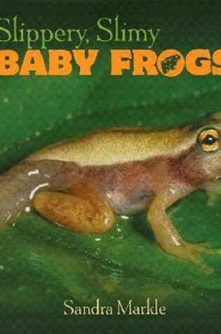 Cover of Slippery, Slimy Baby Frogs