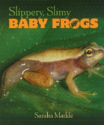 Book cover for Slippery, Slimy Baby Frogs