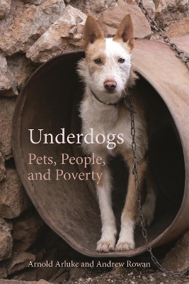 Book cover for Underdogs