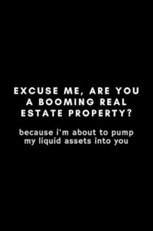 Cover of Excuse Me, Are You A Booming Real Estate Property?