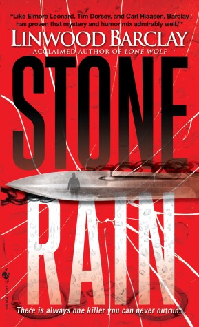 Book cover for Stone Rain