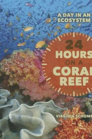 Cover of 24 Hours on a Coral Reef