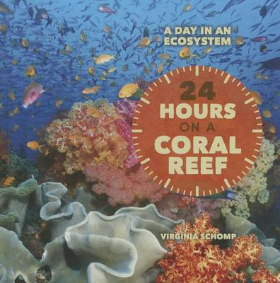 Book cover for 24 Hours on a Coral Reef