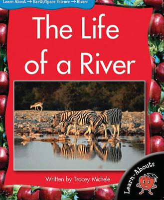 Book cover for Lab Lvl11 the Life of a River