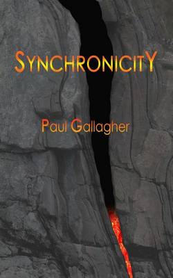 Book cover for Synchronicity