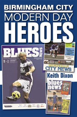 Book cover for Birmingham City: Modern Day Heroes