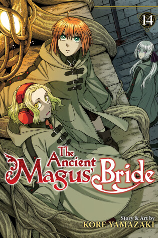 Cover of The Ancient Magus' Bride Vol. 14
