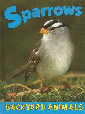 Book cover for Sparrows