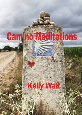 Book cover for Camino Meditations