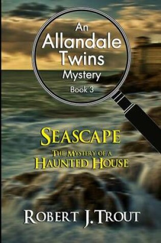 Cover of Allandale Twins Mystery