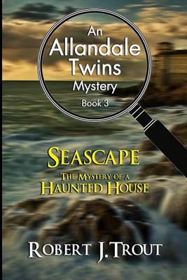 Book cover for Allandale Twins Mystery