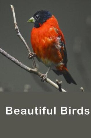 Cover of Beautiful Birds