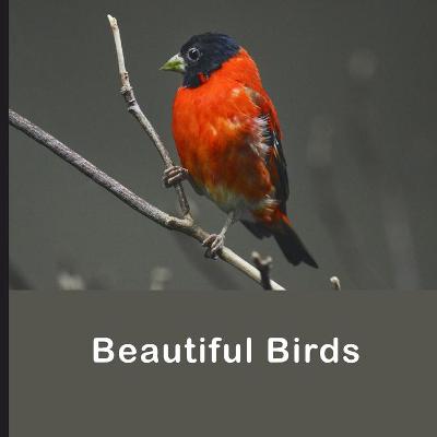 Cover of Beautiful Birds