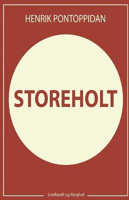 Book cover for Storeholt