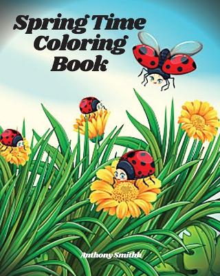 Book cover for Springtime Coloring Book