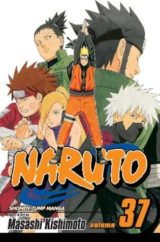 Cover of Naruto, Vol. 37