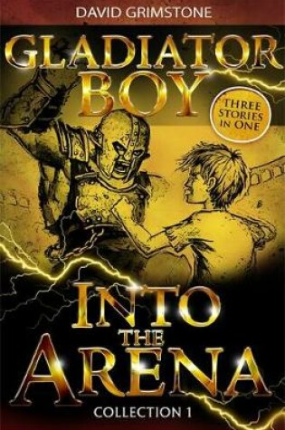 Cover of Into the Arena