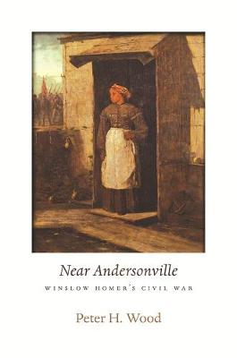 Book cover for Near Andersonville