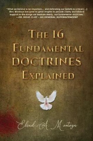 Cover of The 16 Fundamental Doctrines Explained