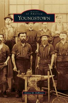 Book cover for Youngstown